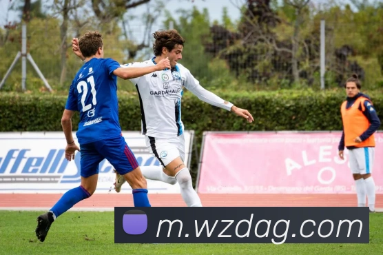 ag官网服务体系