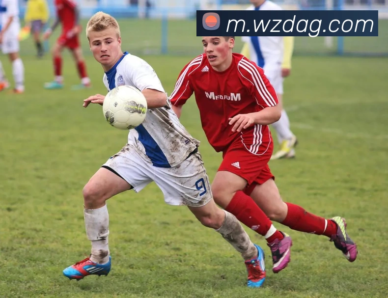 ag官网APP 体育赛事宣传图